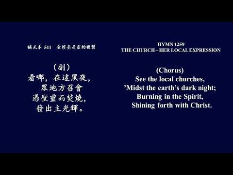 补充本511 金灯台是灵的复制