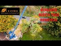 Huge Diseased Beech Tree Removal With Crane