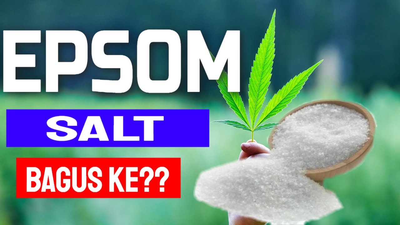 Epsom Salt Bagus Untuk Pokok Youtube