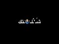 سيف عامر🎶💜/ورقه🌲🍃/تصميم شاشه سوداء بدون حقوق