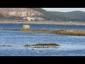 Marismas de Colindres, Cantabria