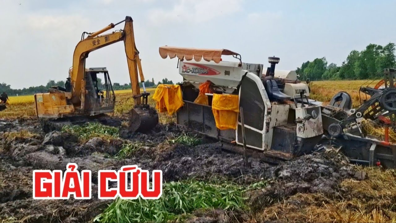 Xe cuốc giải cứu máy cắt kubota 105 bị sa lầy 