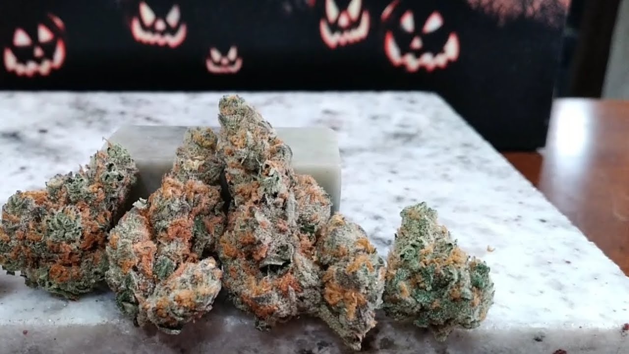 CRESCO -  Bob Hope - Sativa - Cannabis Review 