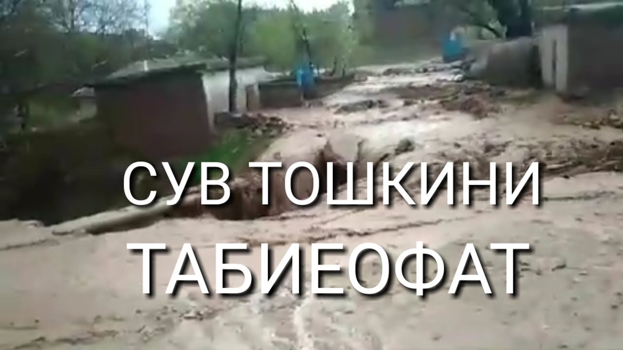 Узбекистонда машина заводи