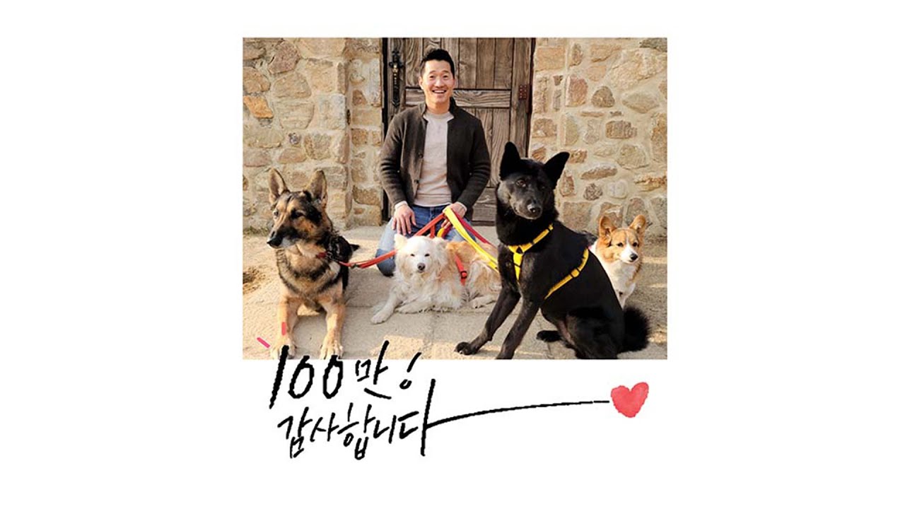 [LIVE] 강형욱의 보듬TV가 100만 구독자와 함께합니다♥