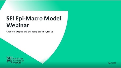 SEI Epi Macro Model: Webinar