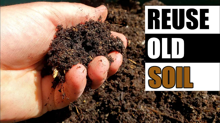 5 Ways To Reuse Old Soil - Garden Quickie Episode 93