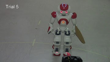 Pavlovian conditioning protocol with Cerebellar Spiking Neural Network embedded into a  NAO Robot