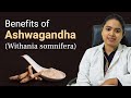Nirogam  proven benefits of aswagandha