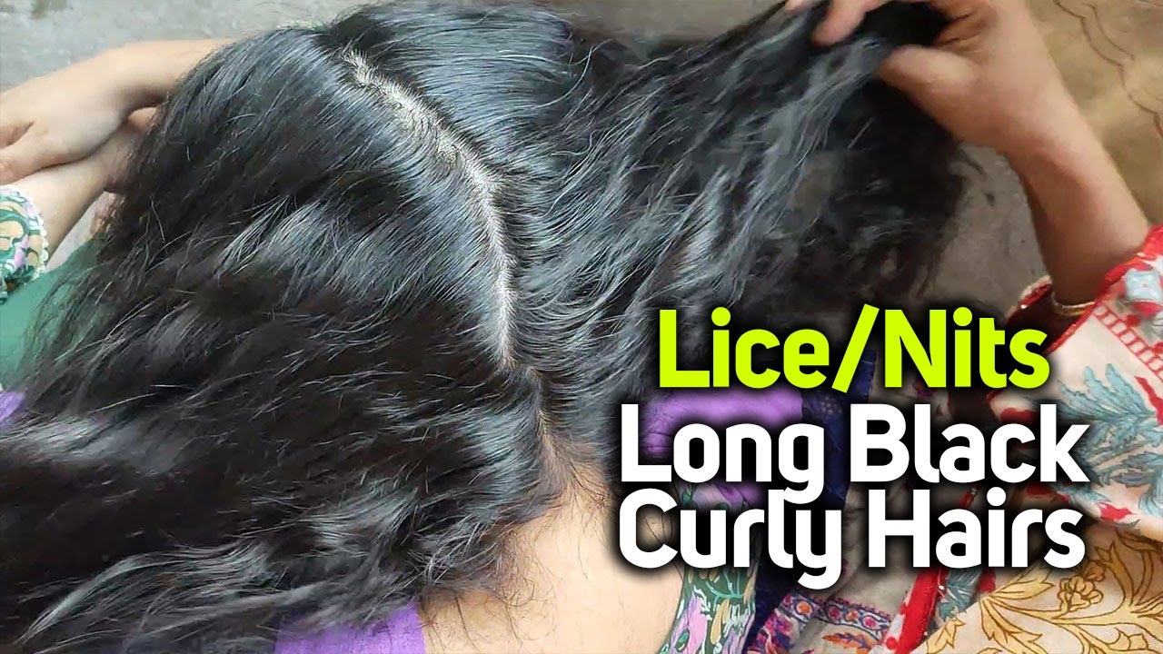 Long Black Curly Hairs Picking Lices Nits Head Scratch ASMR Pakistan