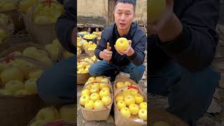 Part7the The Work Of Guofu Fresh Fruit Sto Apple Is Crispy Sweet And Delicious  Very Sweet