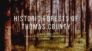 #FromtheArchives Historic Forest of Thomas County, Georgia