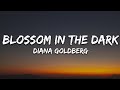 Diana goldberg  blossom in the dark lyrics