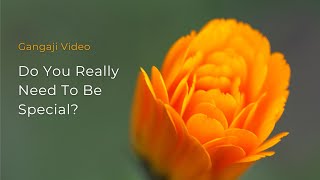 Do You Really Need To Be Special