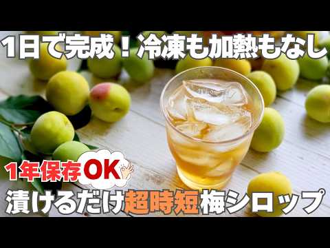【1日で完成】梅シロップを即完成させる裏技!冷凍なし非加熱だから酵素が生きてる。身体整う梅ジュース。梅コーラ&蜂蜜梅シロップ