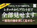 【濁った池がこんなに変わる!?】フォトコンテストで通用するレタッチ！ありきたりの写真を見せる一枚にする！ レタッチからプリント仕上げまで全部見せます！