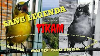 MASTERAN PLECI : TIKAM PERSADA PLECI LEGENDARIS (TEMBAKAN MEMATIKAN)