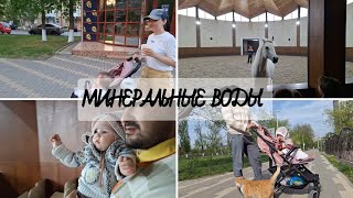 ВЛОГ || Минеральные воды, Теркский конный завод, конь В.В.Путина