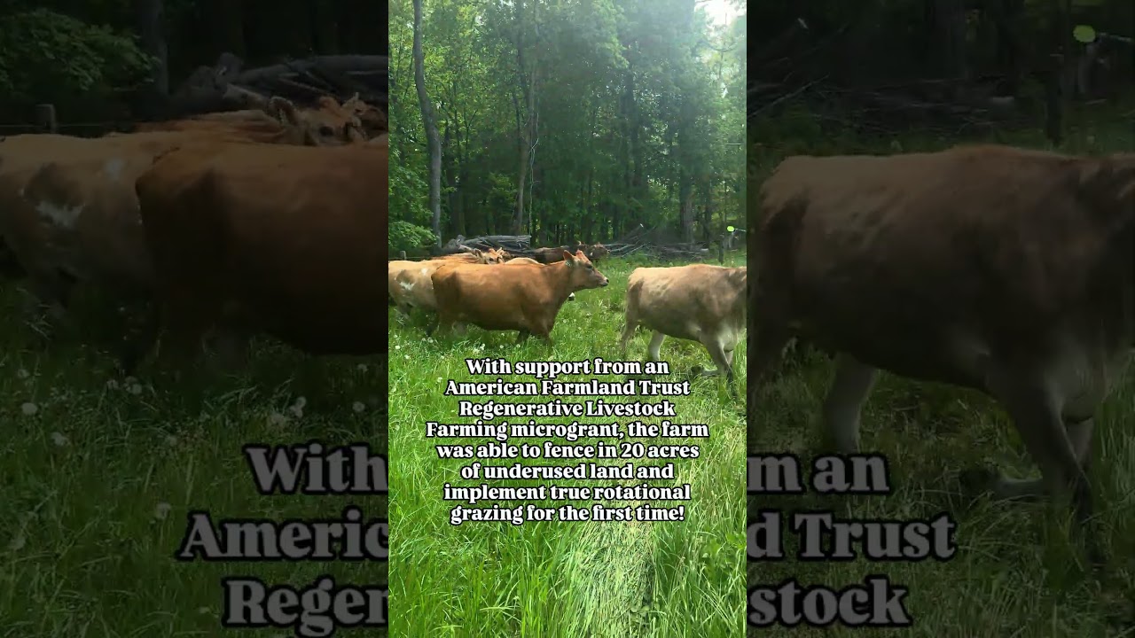 What would you do with a $10,000 New England Regenerative Livestock Farming Grant?