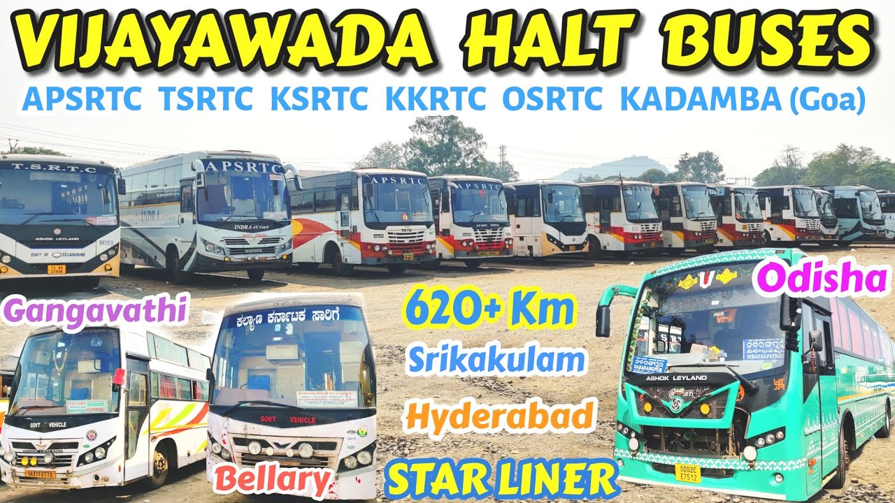 VIJAYAWADA HALT BUSES | Long Riders | Odisha, Karnataka 