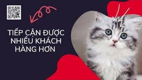 Thiết kế website mua bán thú cưng