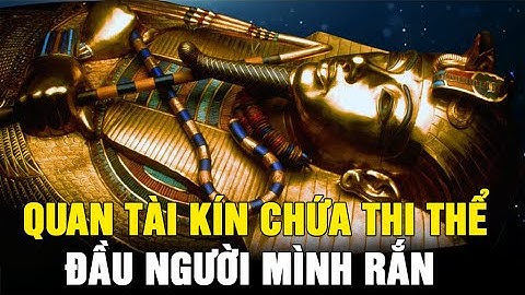 Phát hiện quan tài kín chứa thi thể Đầu Người Mình Rắn của Ai Cập cổ đại