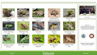 WhatFrog Classifying Frog Calls Using Gaussian Mixture Model & Locality Sensitive Hashing