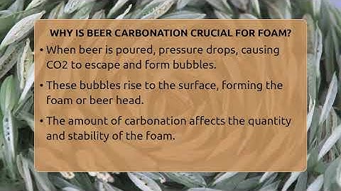 Why Is Beer Carbonation Crucial For Foam? - The Pint Guy