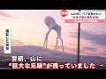 【新作】未確認生物にまつわるニュースがツッコミどころ満載だったwwwwww 【なろ屋】【ツッコミ】