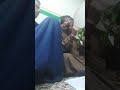 مديح ملا عيدان 🥢لجلبنك يليلي........ لوكر حمام الدوح هيم كلبي