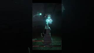 Two Noobs take on the Grave Warden Duelist  #shorts #eldenring #eldenringbosses #eldenringbossfights