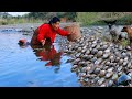 woman pick  shell fish for cook- fry shell fish with chicken for dog food- cooking in forest HD