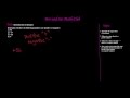 Introduction to Integers Quiz