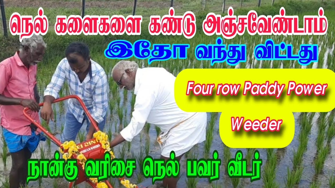 நான்கு வரிசை நெல் பவர் வீடர் Four row Paddy Power Weeder