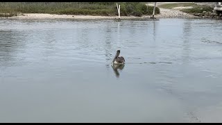 Review and Tour Magnolia Beach Indianola Texas - Free Boondock Camping by Dennis Koppa 659 views 1 year ago 11 minutes, 21 seconds
