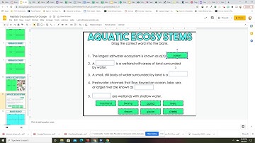 Ecosystems Google slides