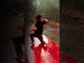 Tum tum viral Short
