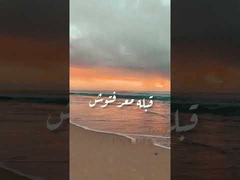 كلامه بحر حنية رامي صبري 
