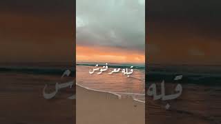 كلامه بحر حنية - رامي صبري #shorts