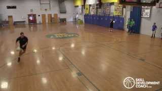 Skill Development Coach - Hardaway Crossover