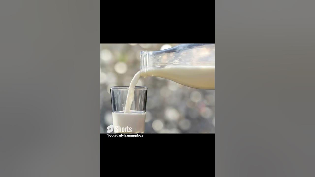 What Country Consumes The Most Milk Per Capita learning newvideo what-country-consumes-the-most-milk-per-capita-learning-newvideo