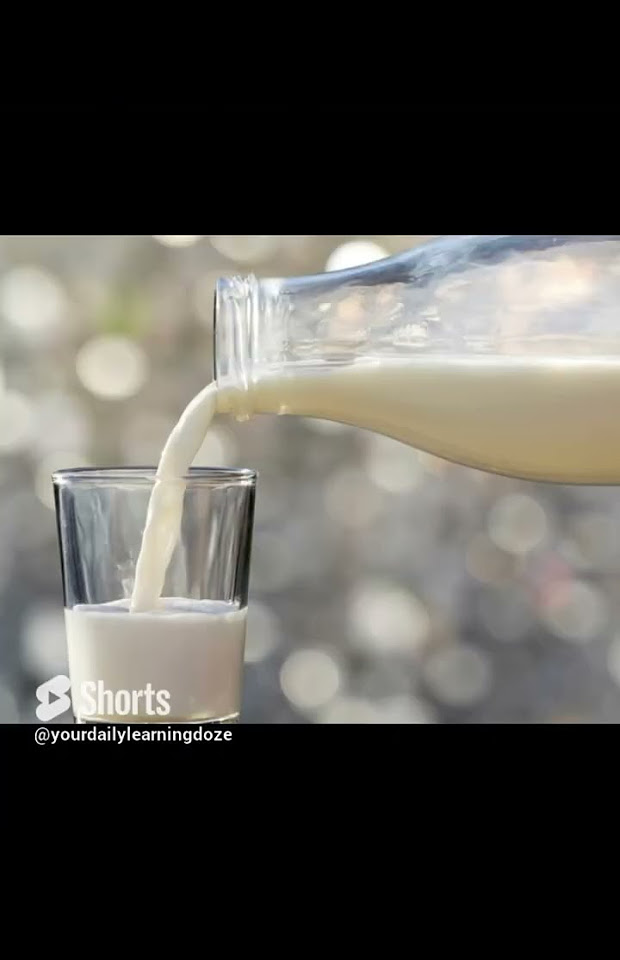 what-country-consumes-the-most-alcohol-shorts-youtube