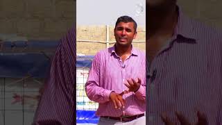 Which fishes can be farmed in biofloc fish farming? Part 02 | #Shorts