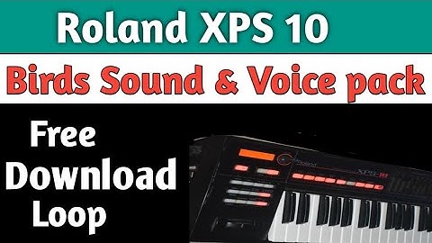 Roland xps 10 free download birds loop & Indian Voice pack|free Indian Sample for XPS 10 & XPS 30