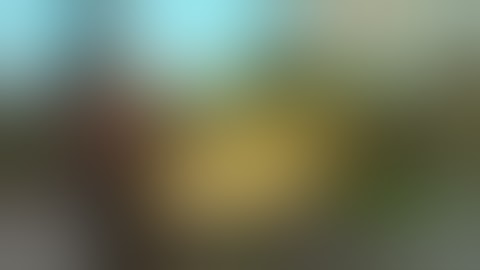 - Fallout 4 - Exploding Mutants in Slow Motion.