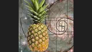 Fibonacci and circulation matrices