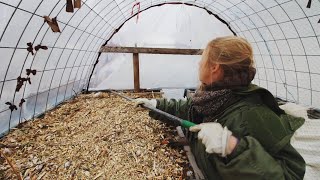 Filling The $100 Greenhouse With Sawdust for Compost Heating