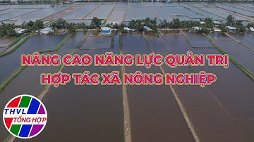Nông nghiệp bền vững: Nâng cao năng lực quản trị Hợp Tác Xã nông nghiệp