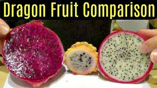 Dragon Fruit vs Pitaya: What's The Difference?