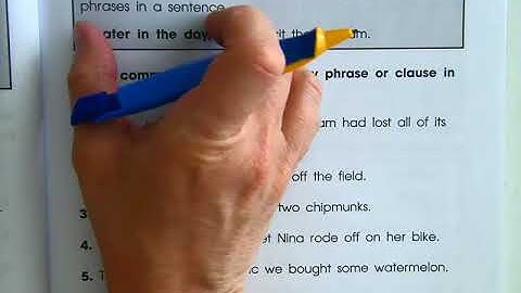 Benchmark Unit 5, Week 2 Grammar